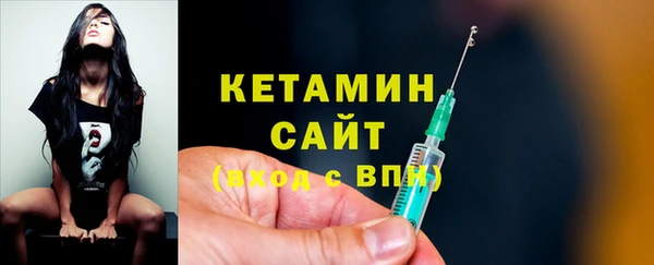 шишки Новодвинск