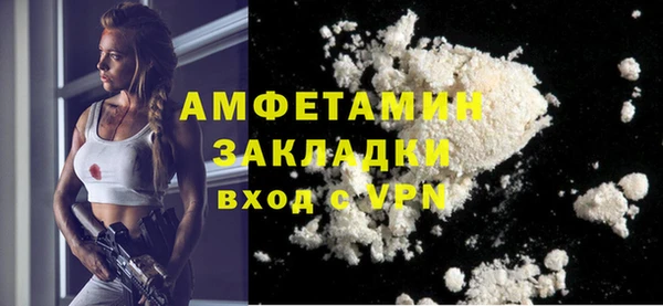 шишки Новодвинск